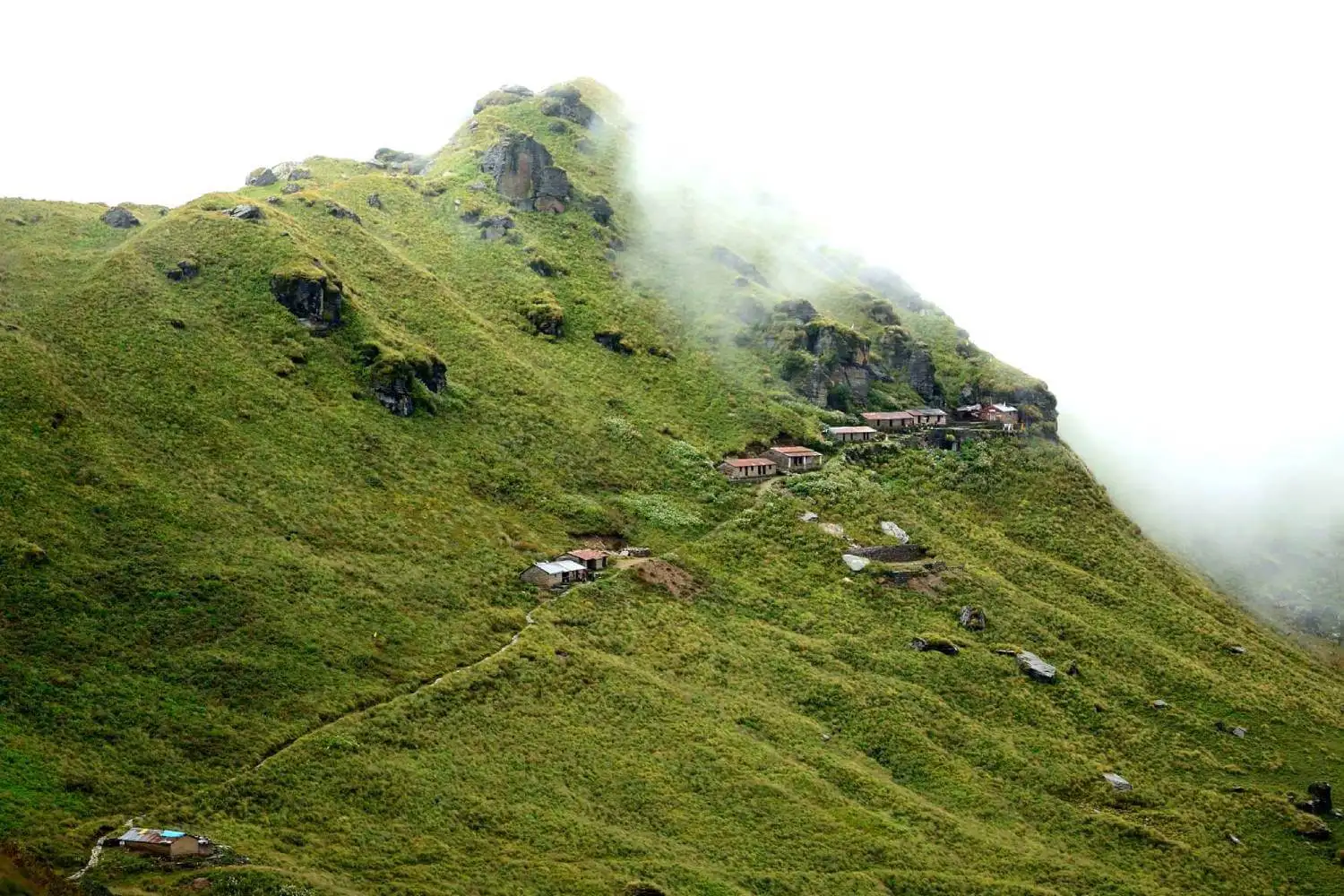 Rudranath-Trek