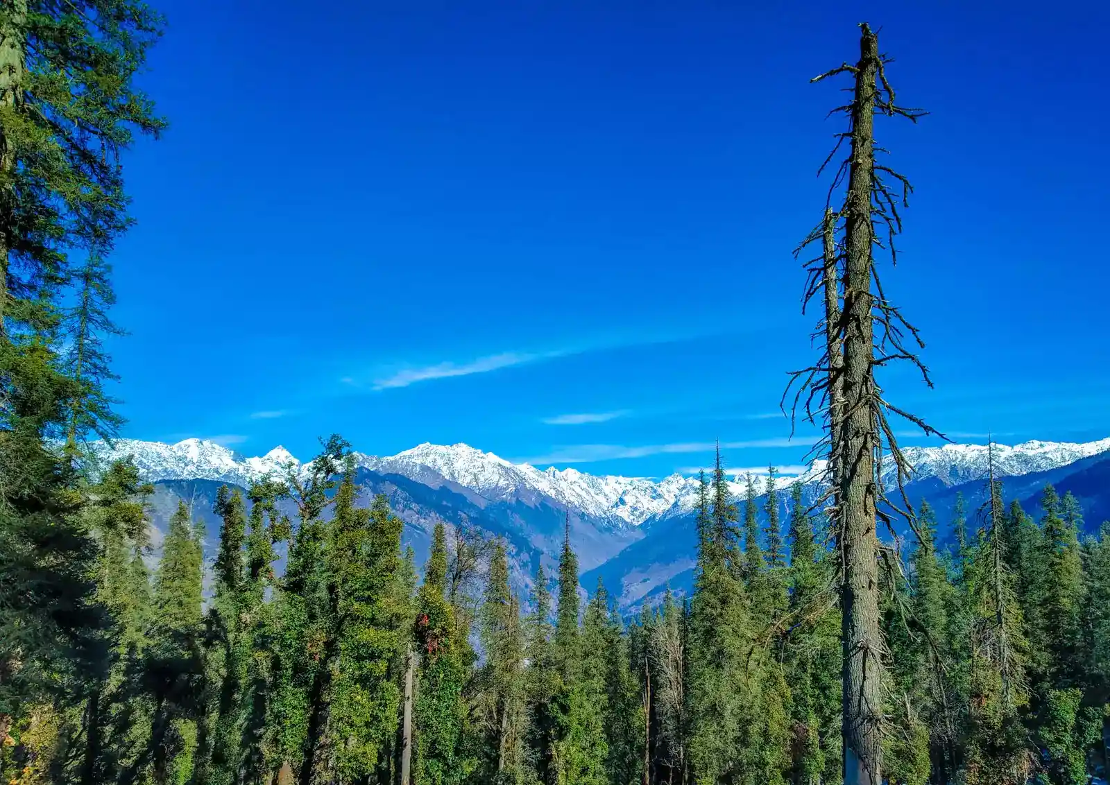 kedarkantha-trek-juda